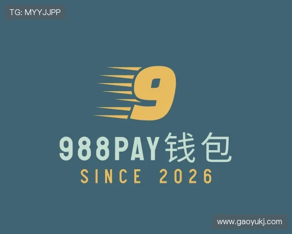 介绍988PAY钱包