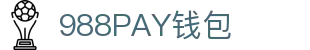 988PAY钱包 - 安全支付工具